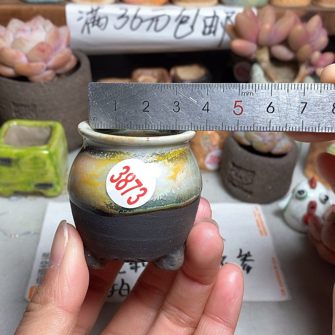 红陶拍5送一个小