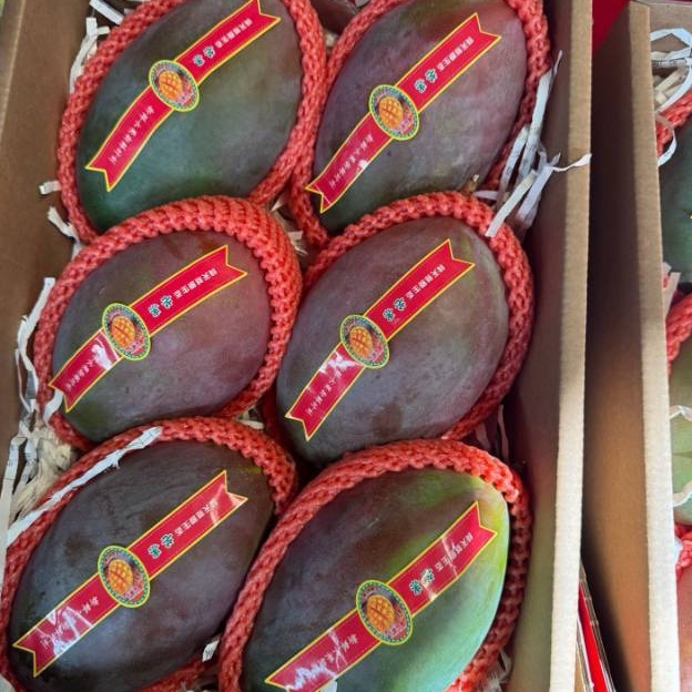 凯特芒后熟3Kg净重