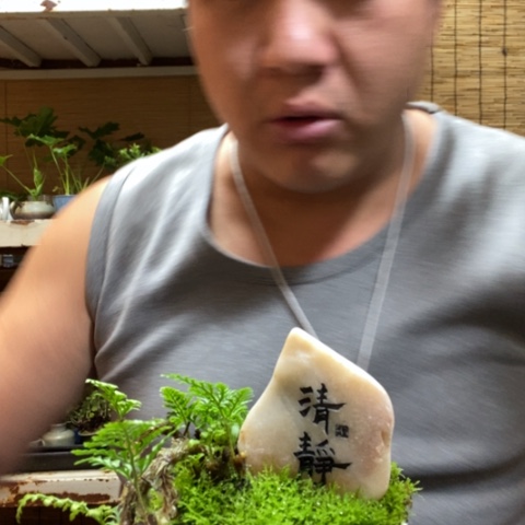 红陶一物一拍所见即所得174