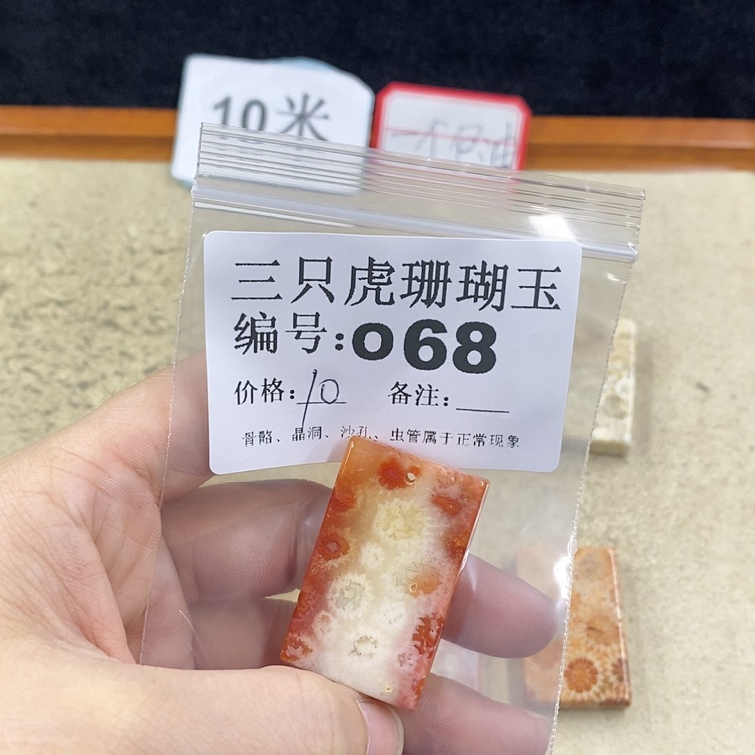 硅化珊瑚（珊瑚玉）1未镶嵌月****)