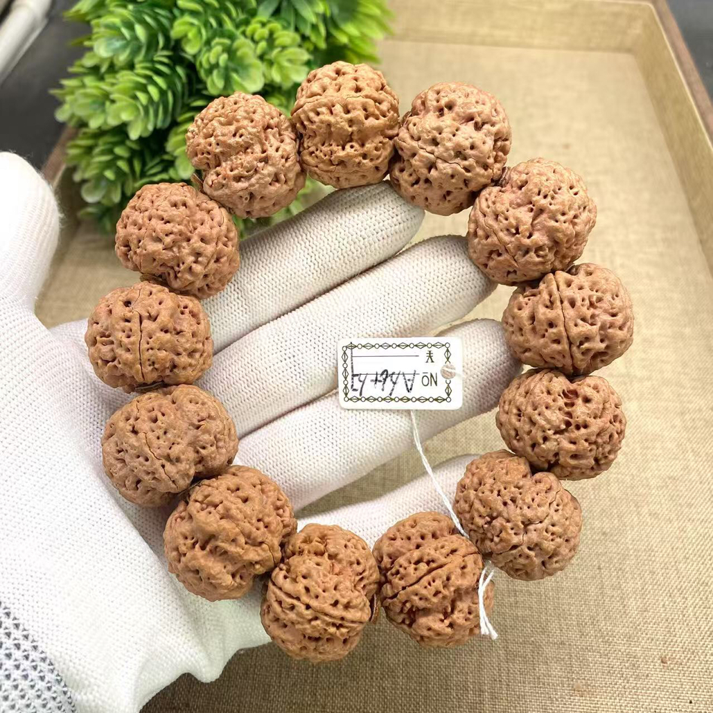 尼泊尔大金刚粗筋深沟大梅花A/26.5/27