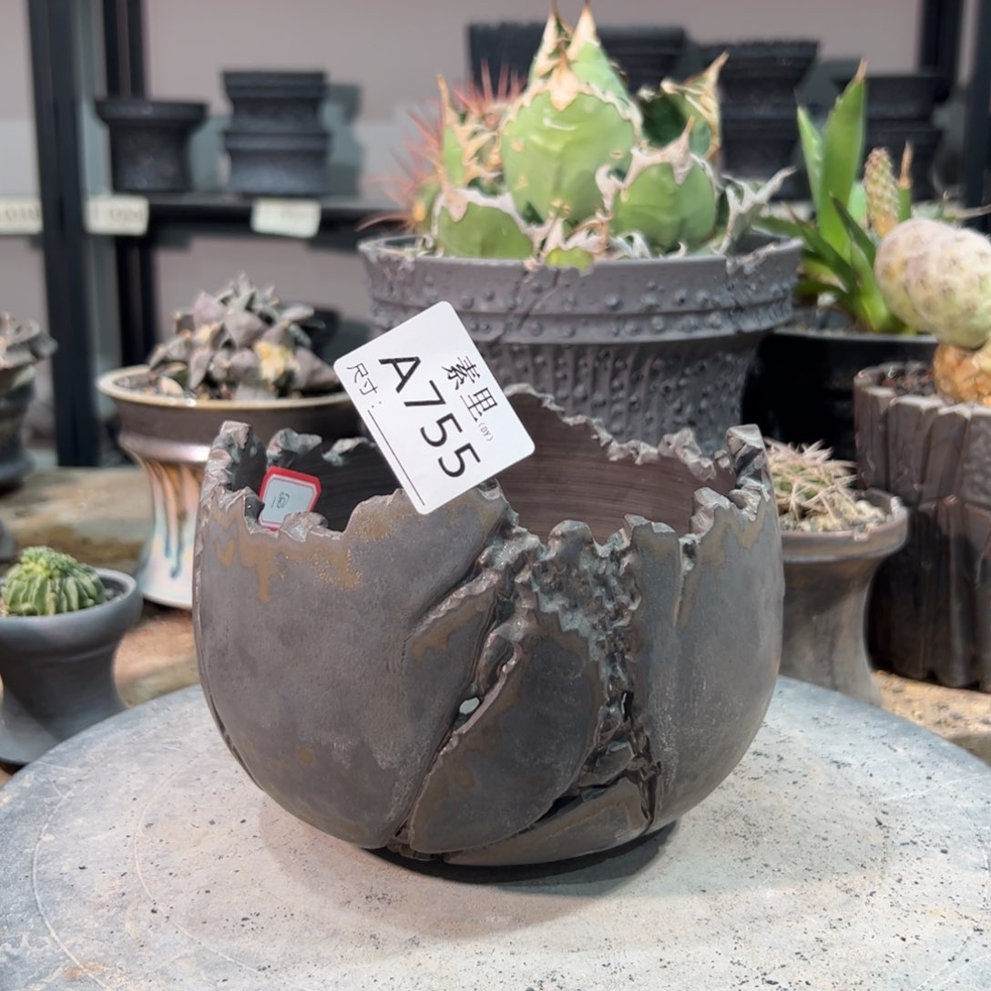 景德镇手工素里 内口13.5高9.5