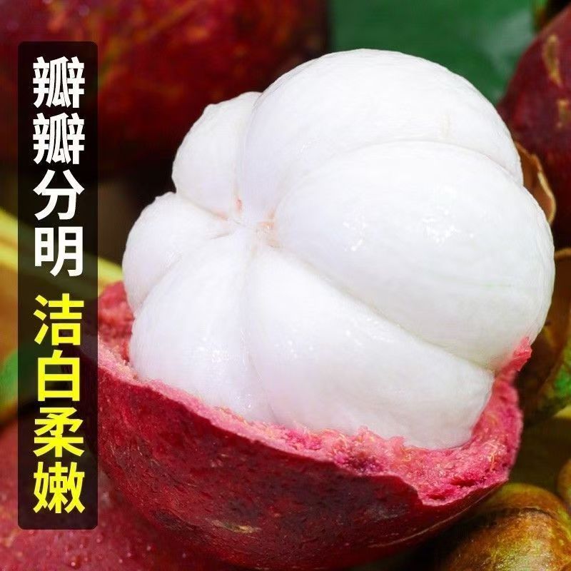 【川渝次日达】泰国进口山竹大果精选新鲜老树麻竹应季孕妇水果3/5A