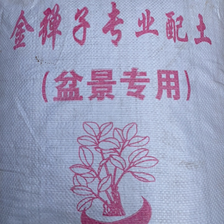 金弹子盆景专业配土
