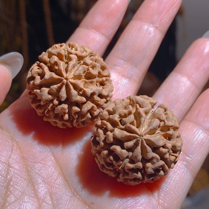 野生多瓣大金刚把件