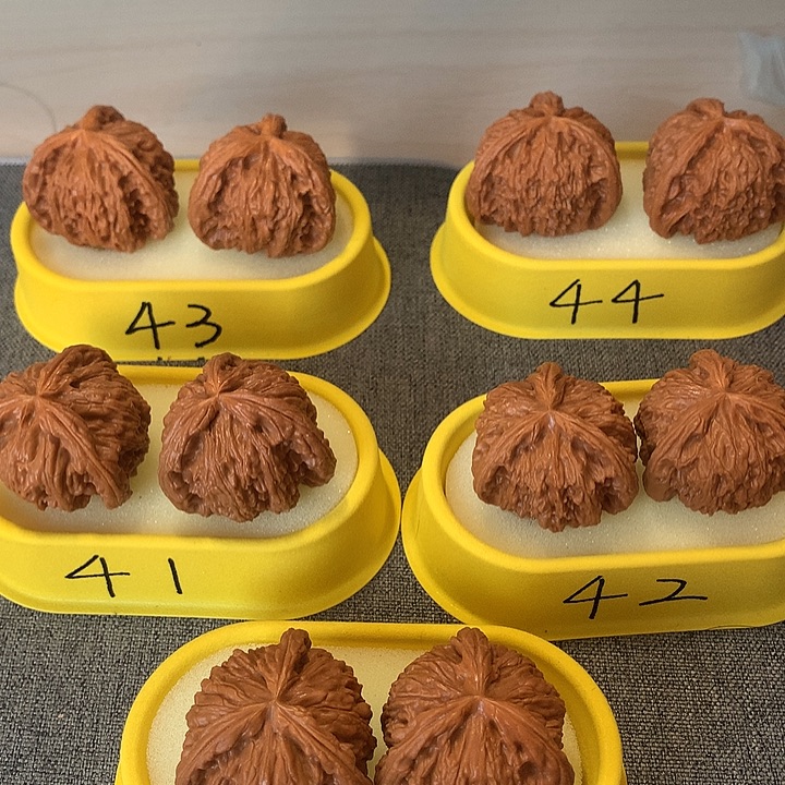 童***爸文玩核桃吊坠1111111111