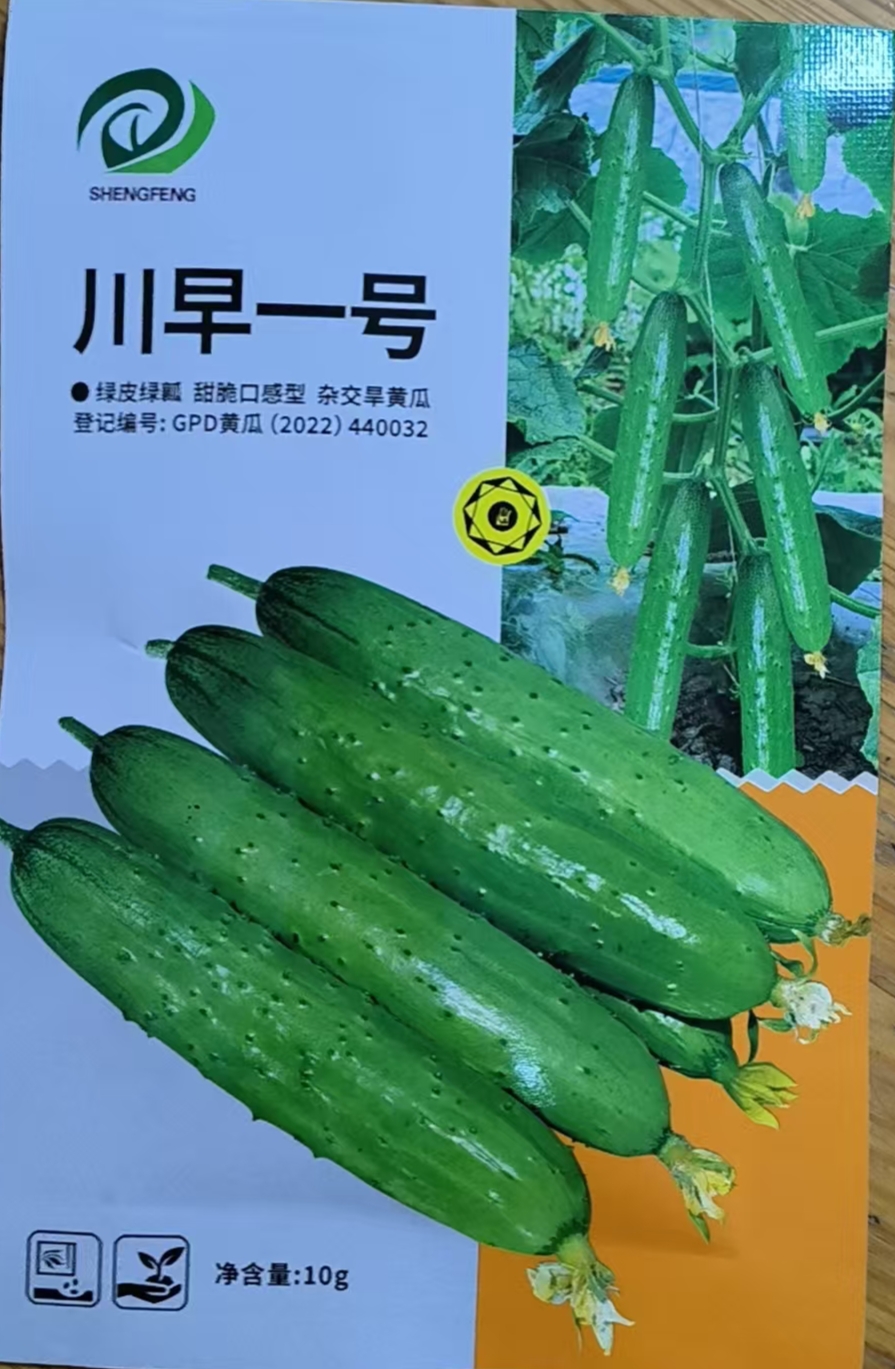 川早一号旱黄瓜种子（菜农用种）