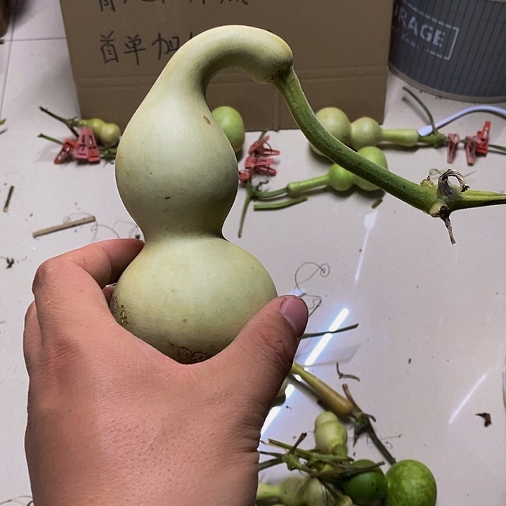 李*逸长嘴哈哈哈哈哈哈哈哈哈好