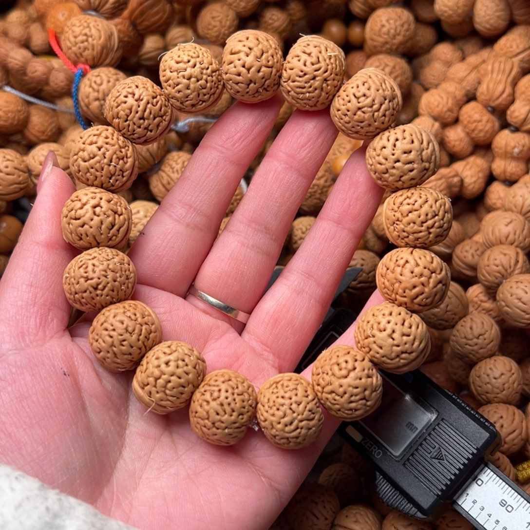 19尺寸圆周率桃核