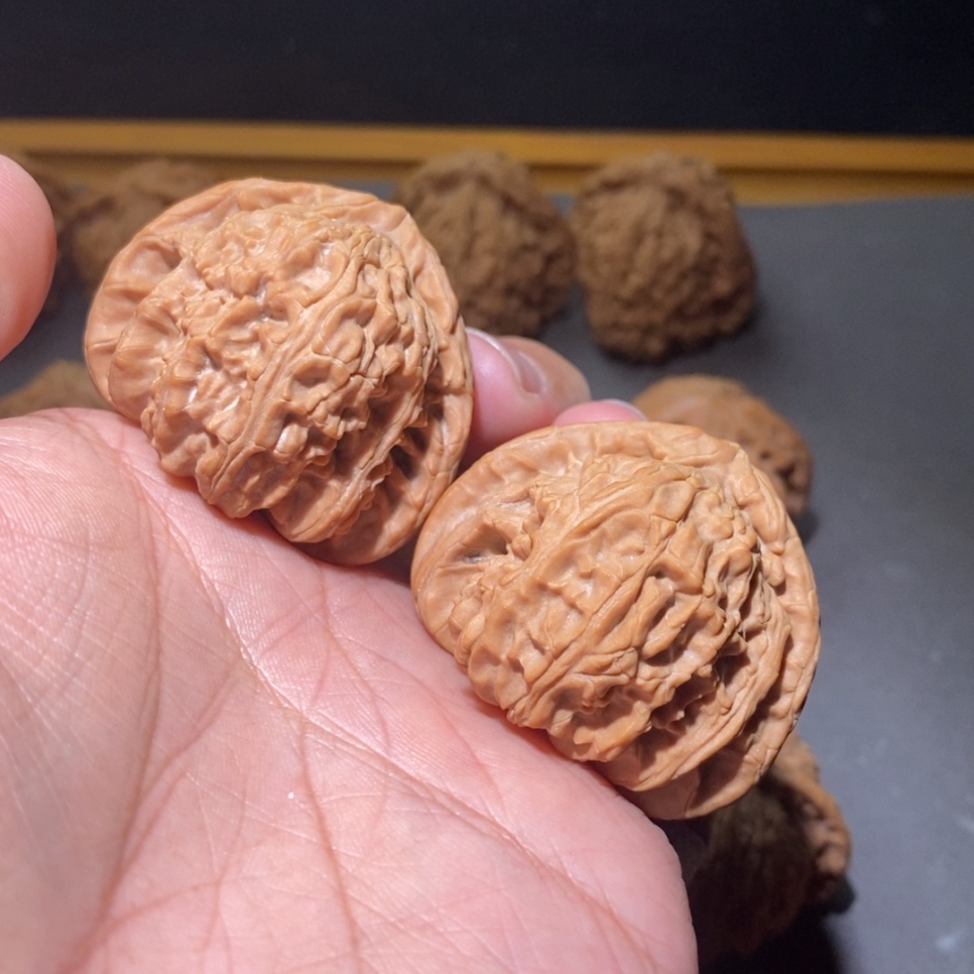 核桃42山西三角白全品