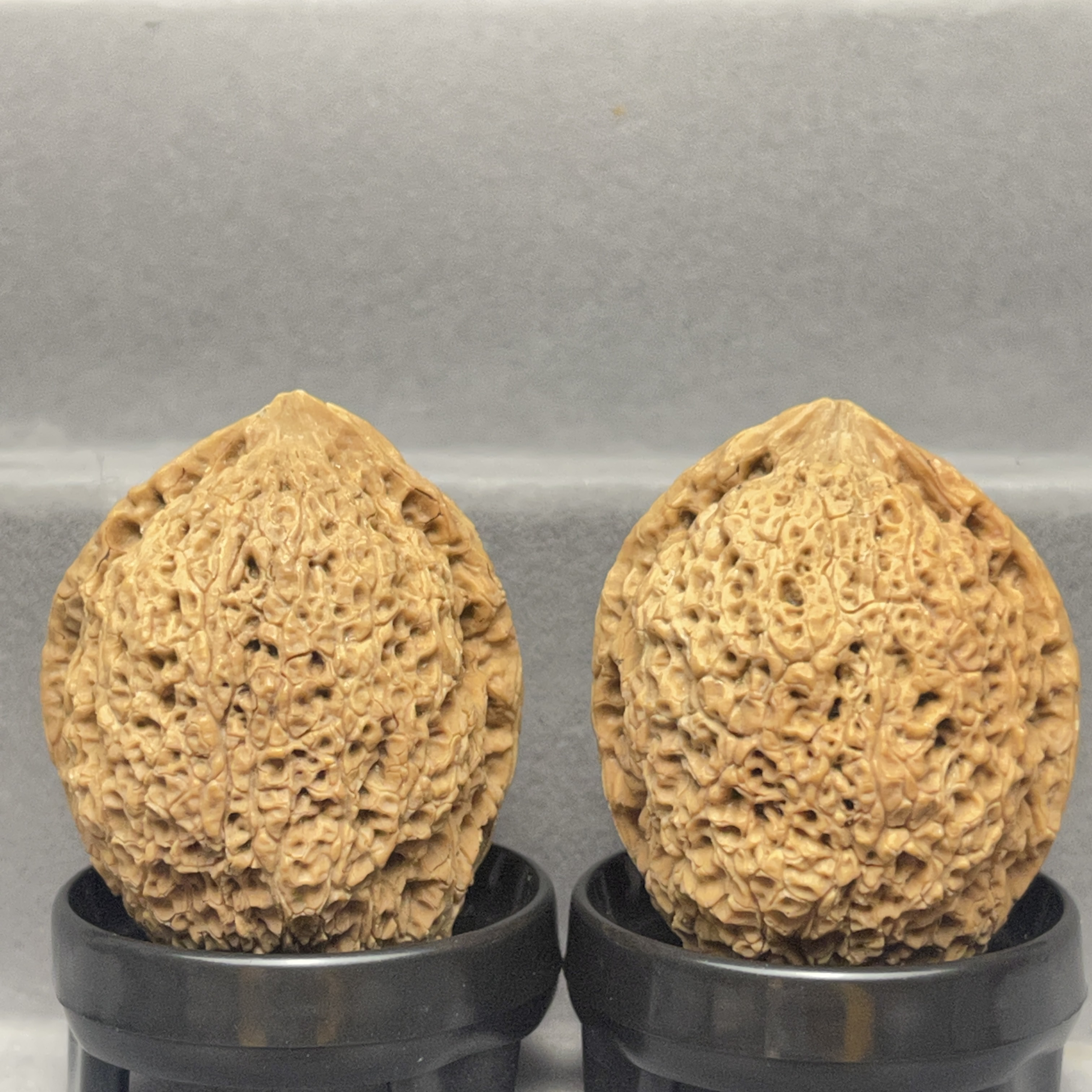 尺寸37炮弹石云南铁核桃