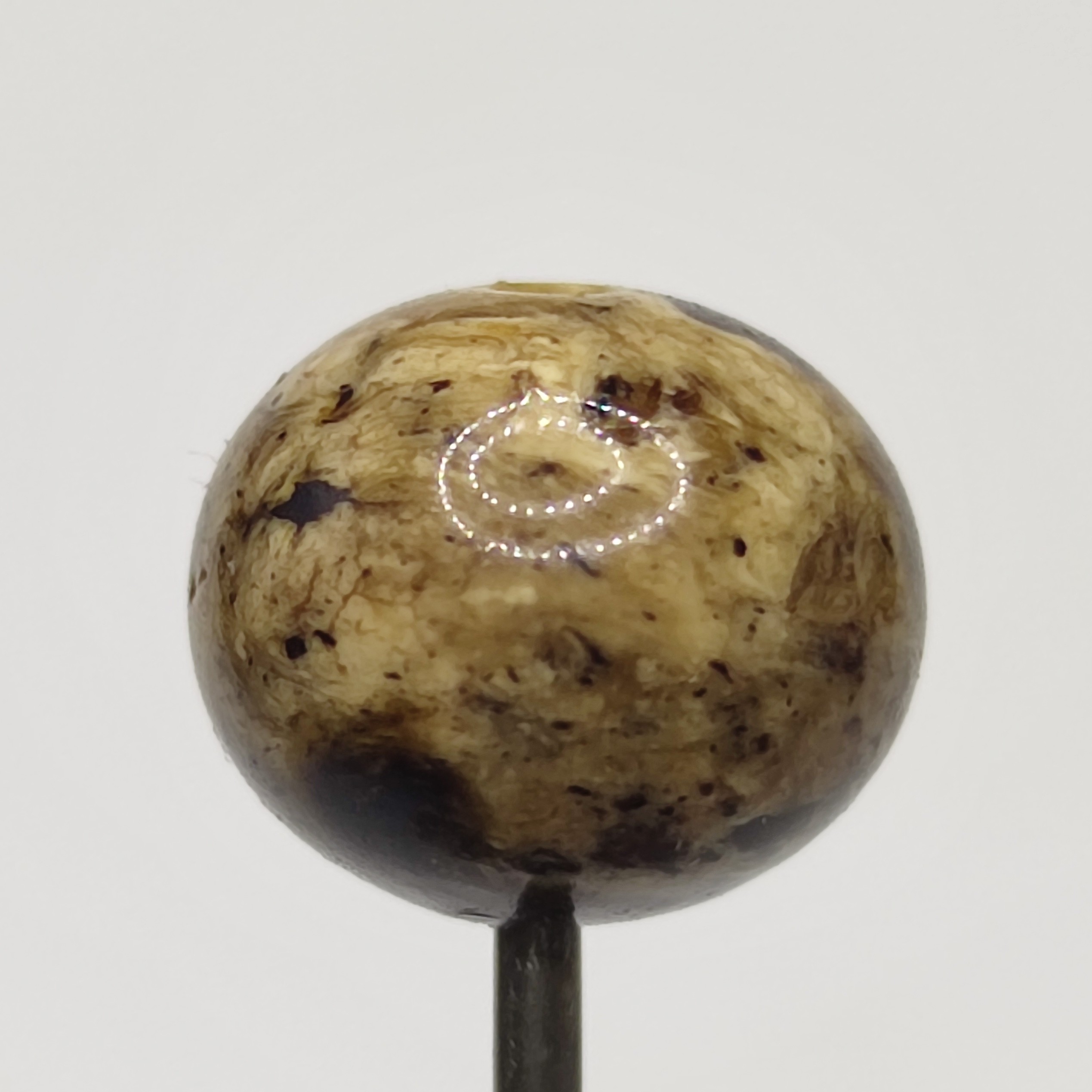 天然抚顺琥珀干白珀单珠9.6mm