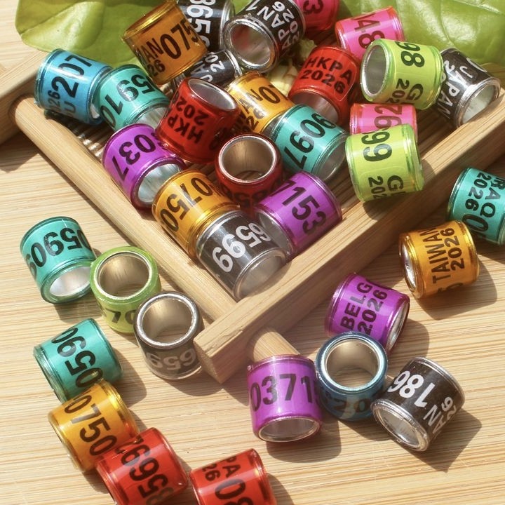 鸽子可佩戴的内径10毫米脚环识别用具