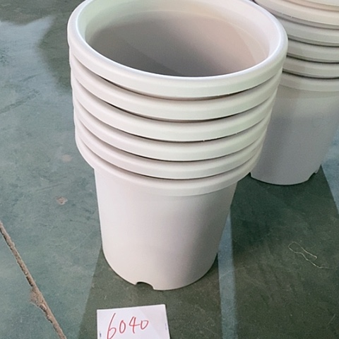 树脂编号编号6040