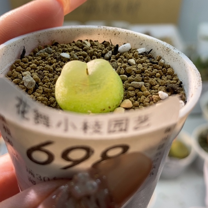 698拉登1111111111111111