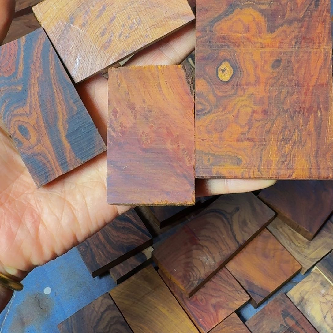 微凹黄檀（南美大红酸枝）草*儿