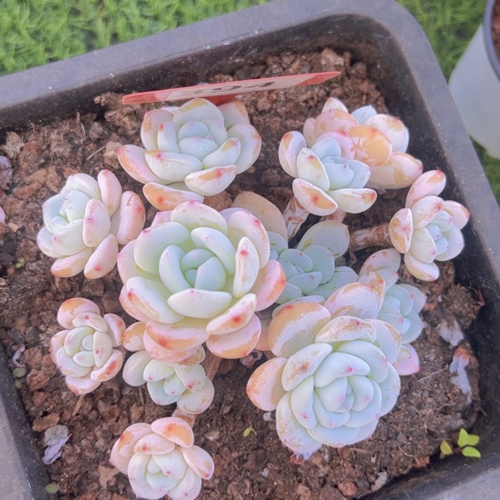 健健康康平平安安