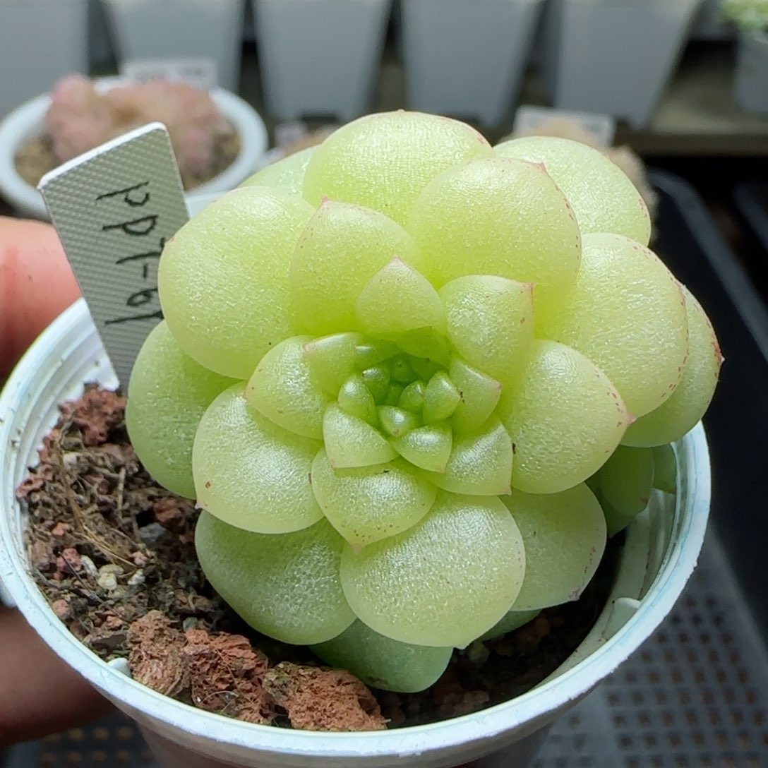 【闪购商品】0131-263（ppt-69）
