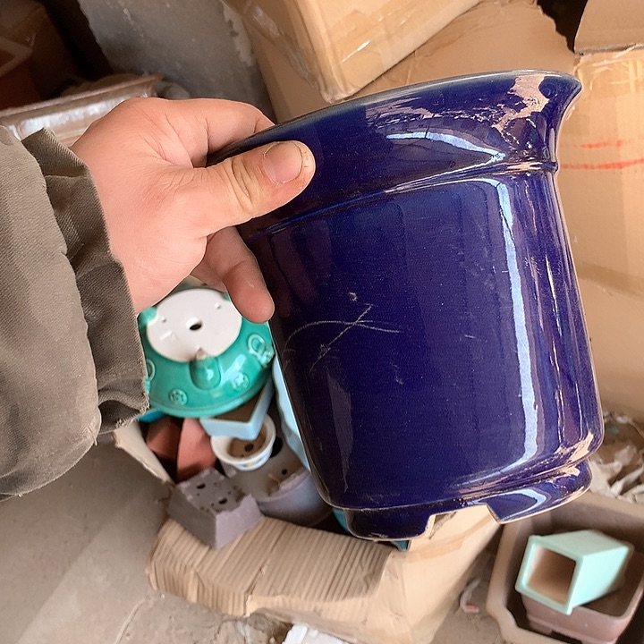 紫砂我要和自己过不去就