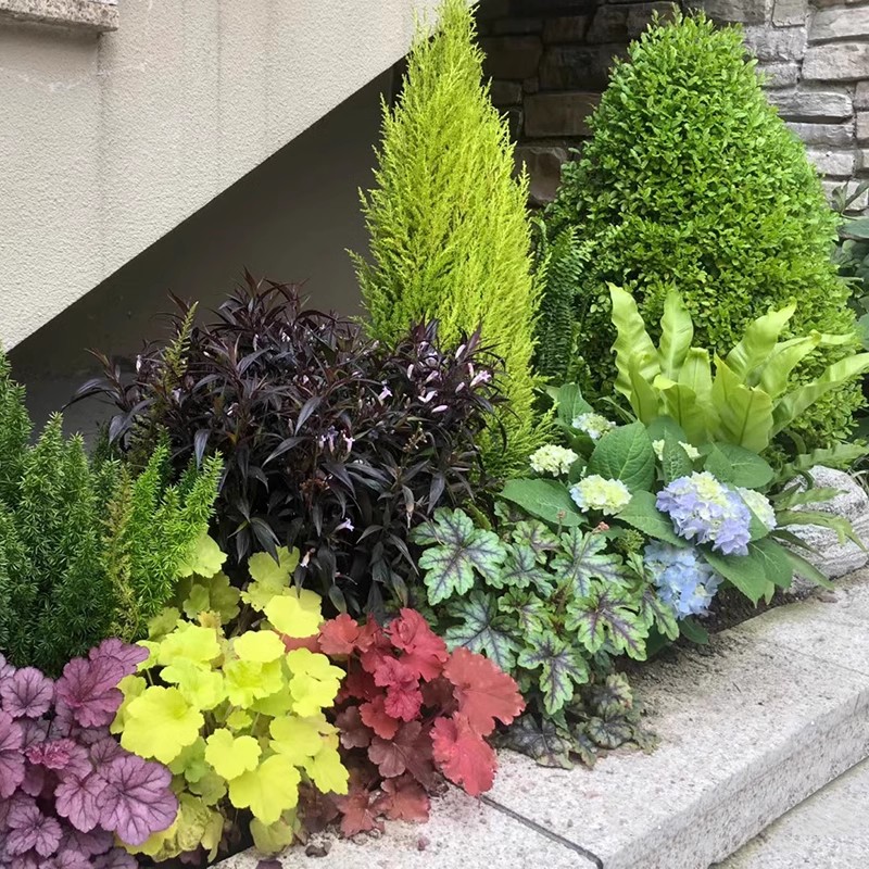 10-50【直播专用补价链接】花园造景花镜阳台花园庭院