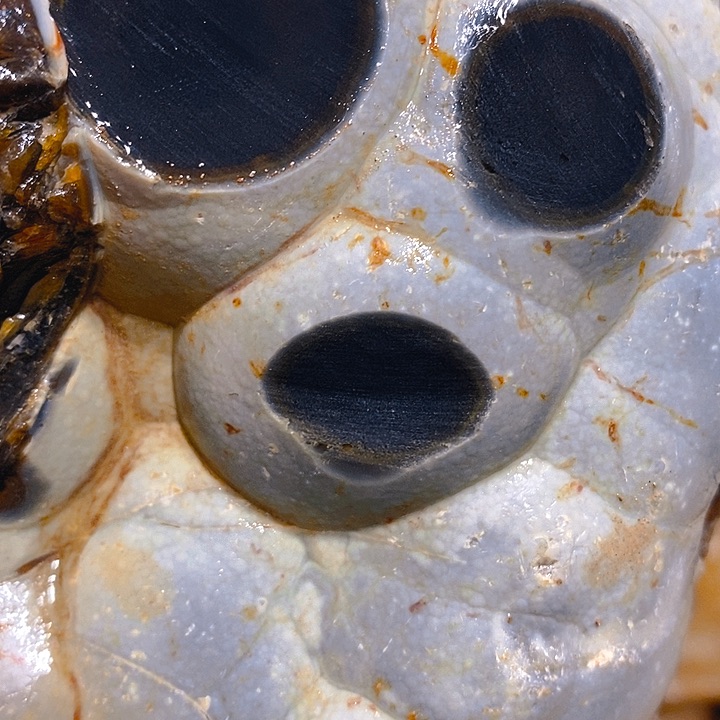 定制玛瑙王*丰好咯哦呜呜