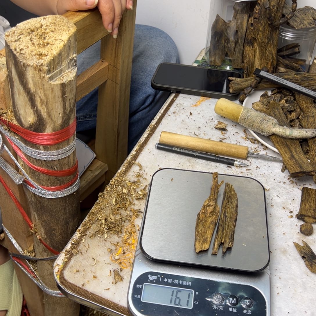 线香奇楠虫漏香16克