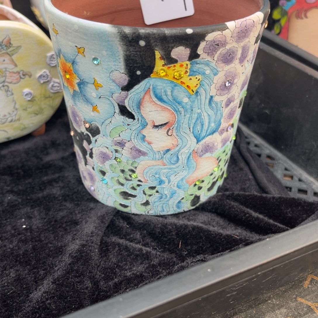 C****316多肉花盆138元1个