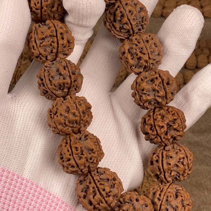 手串金刚菩提22mm老籽，经典红皮蜂窝粗筋双龙