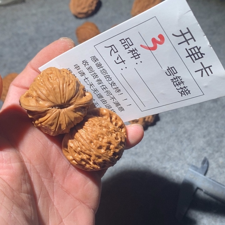 文玩核桃把件3家咯哦辛苦咯哦