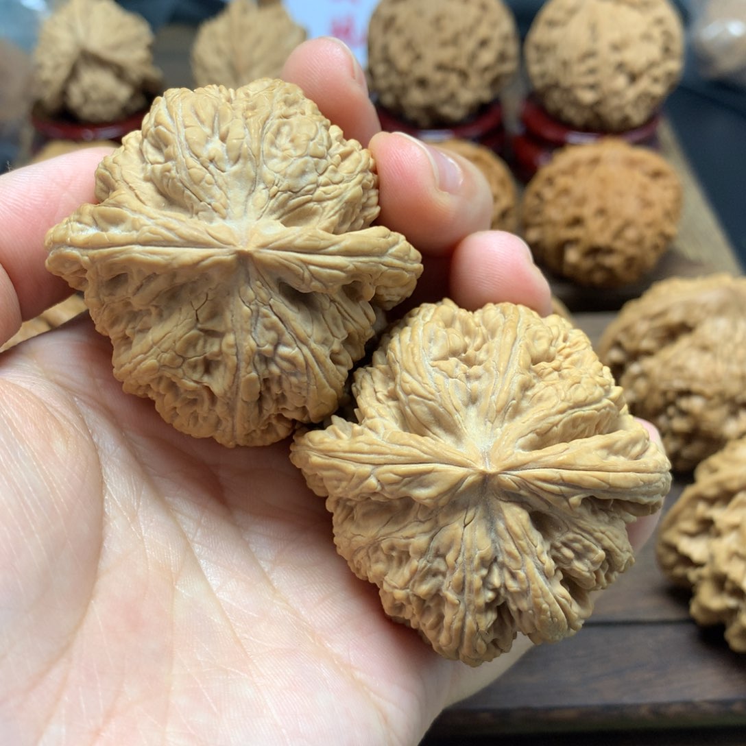 文玩核桃吊坠48全品粗筋