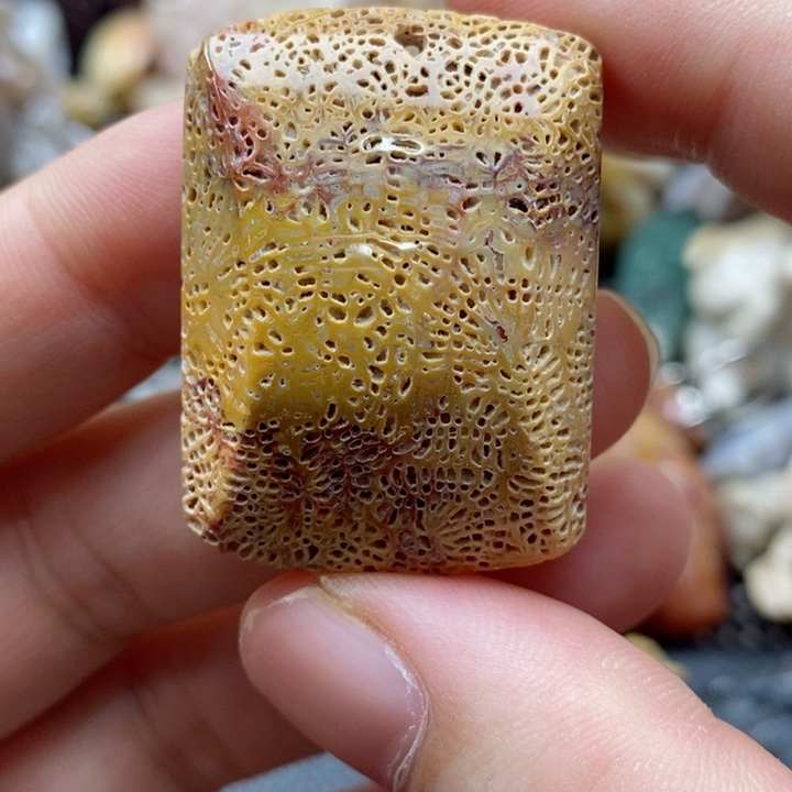 硅化珊瑚（珊瑚玉）颈饰未镶嵌