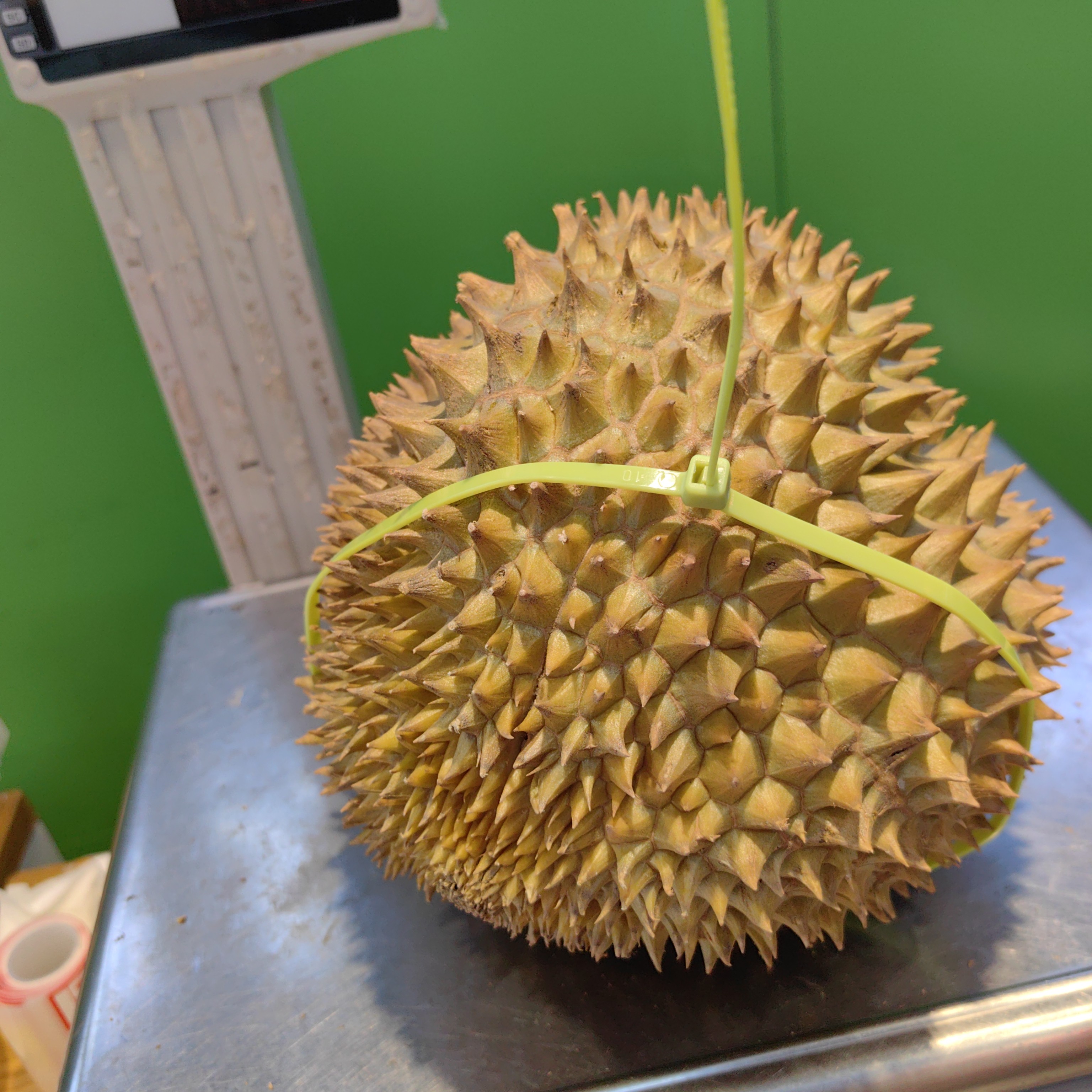 金枕榴莲（1个）