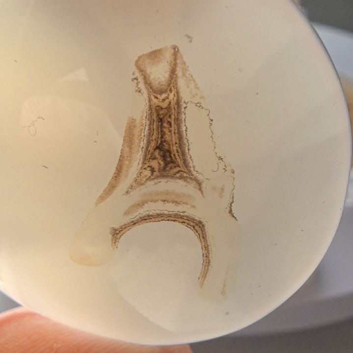 非金属时尚饰品25