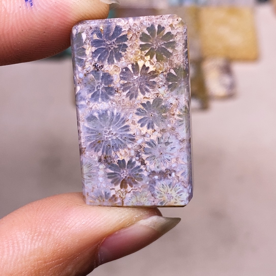 大***行硅化玉合金珊瑚玉