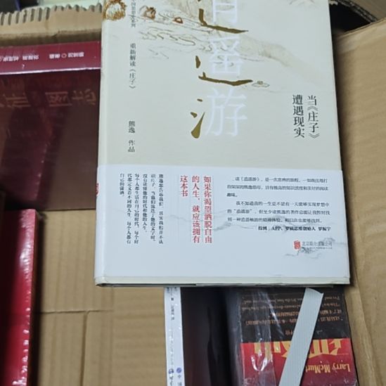 逍遥游（务必塑封）库存书