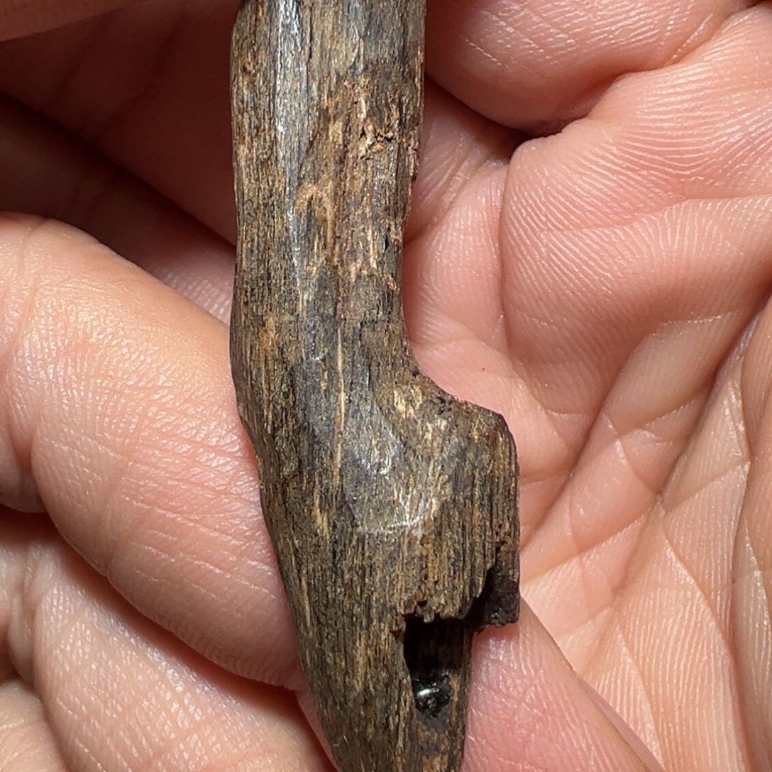 沉香吊坠海南虫漏沉香沉水级2.68克