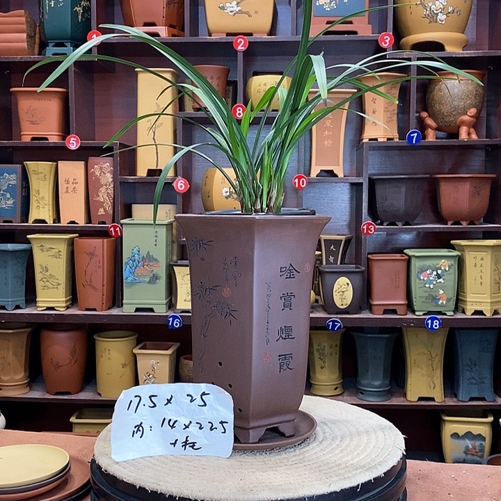 紫砂花盆紫砂花盆