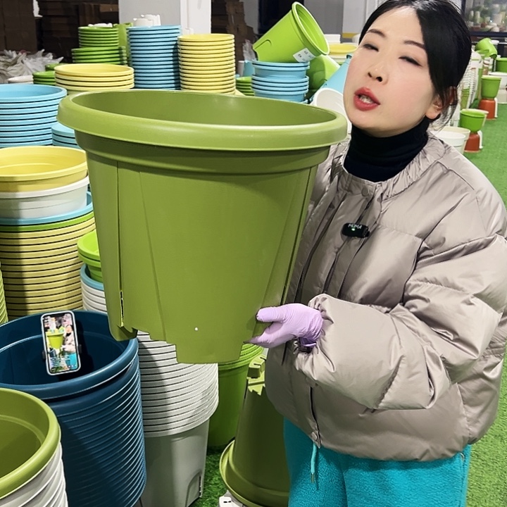 清仓青山口40高34果绿5只无托