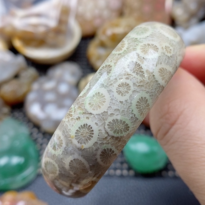 硅化珊瑚（珊瑚玉）颈饰未镶嵌54