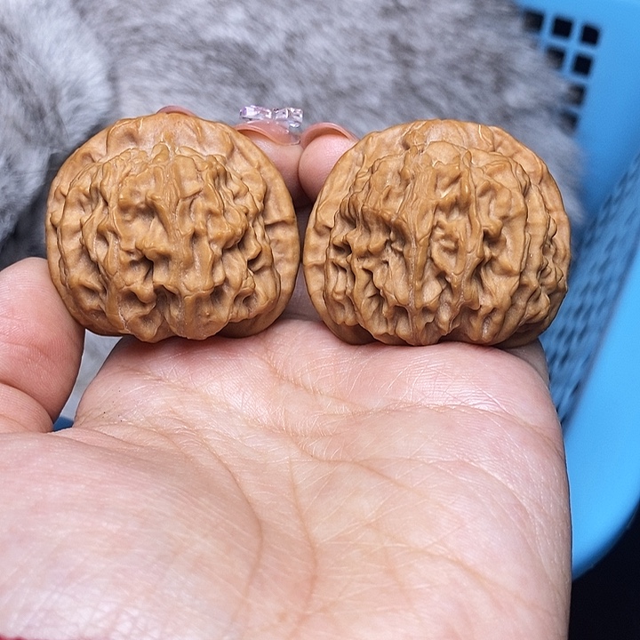 核桃把件腐****忆40全品天地