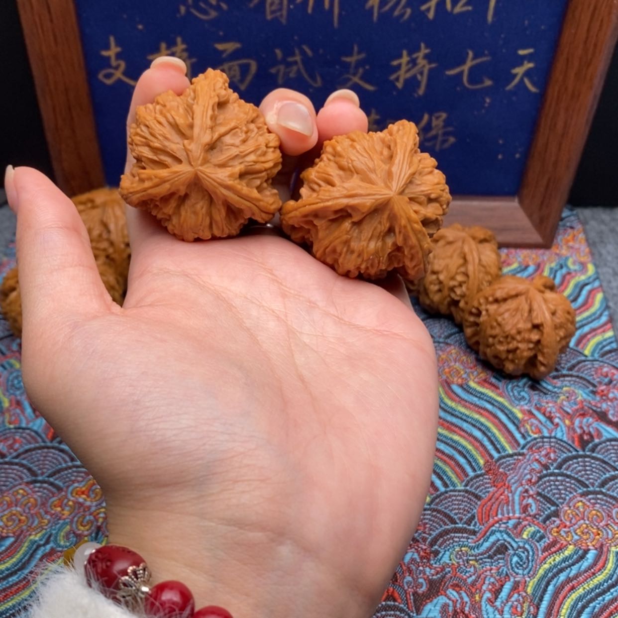 【闪购商品】过*客白狮