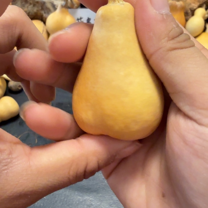 萌***萌88……………………………………