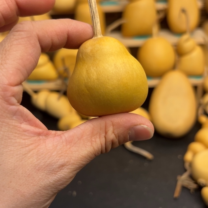 吃**桃葫芦葫芦葫芦葫芦葫芦葫芦