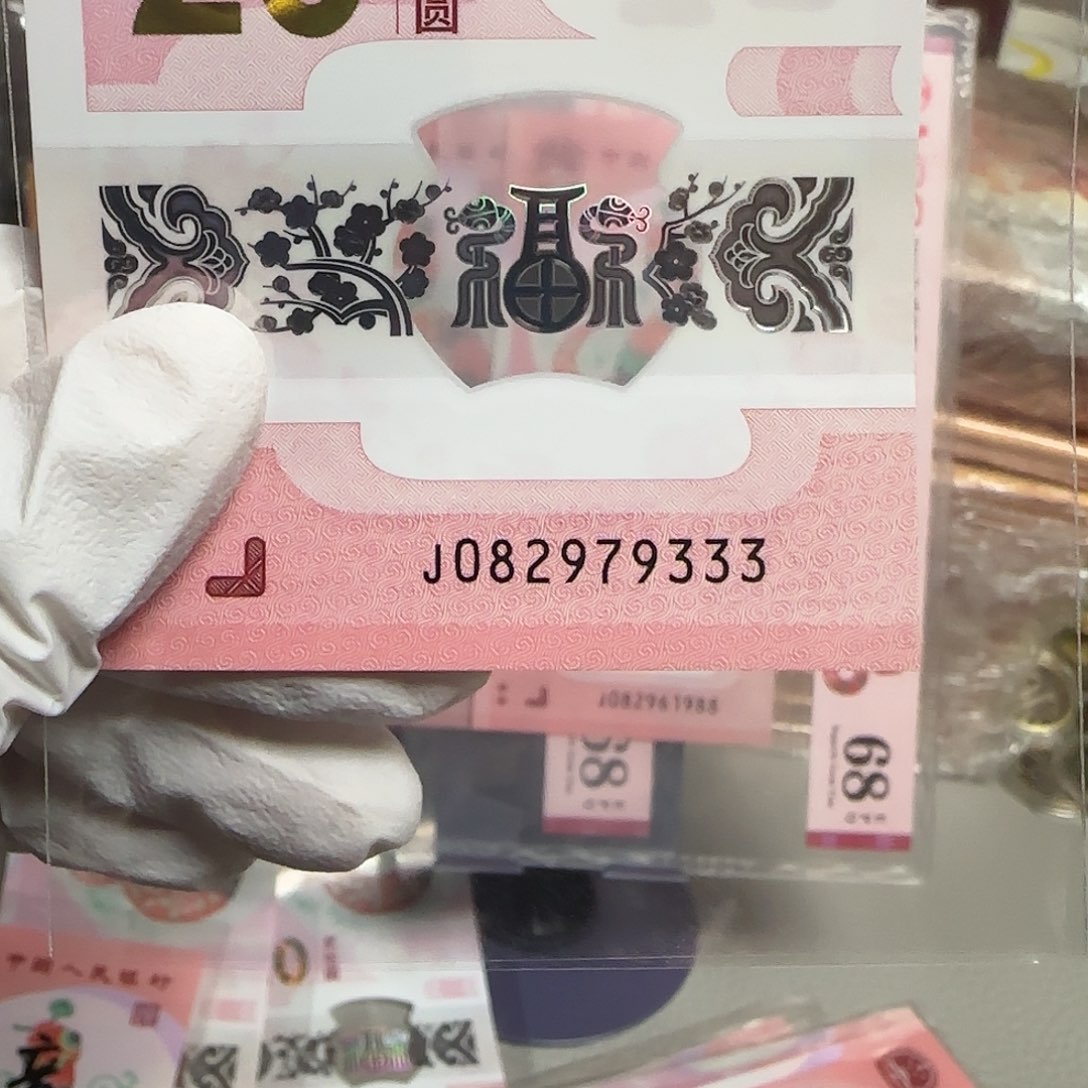 塑料2025年蛇年纪念钞