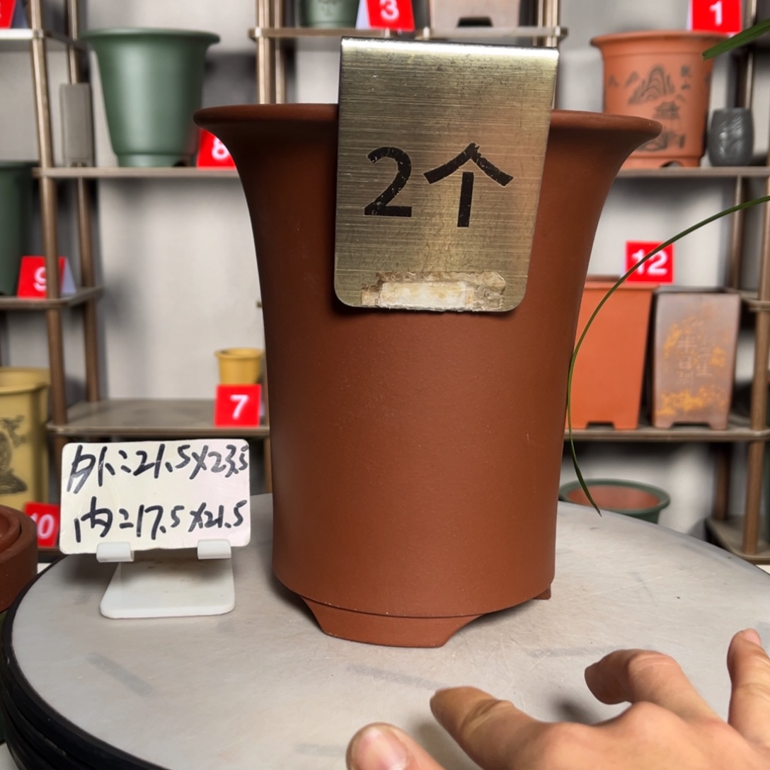 紫砂花盆紫砂花盆