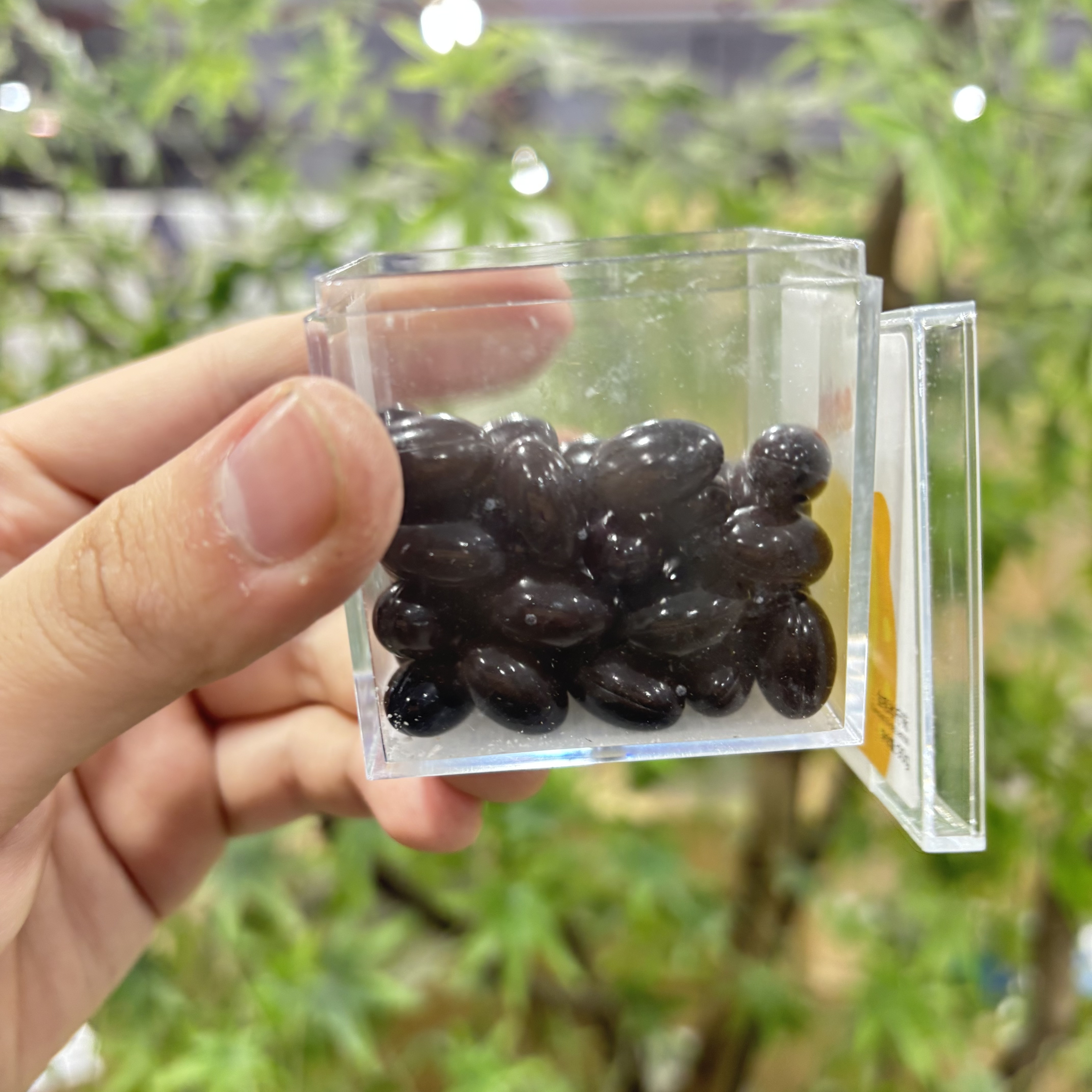 定制款！（10）薄荷糖