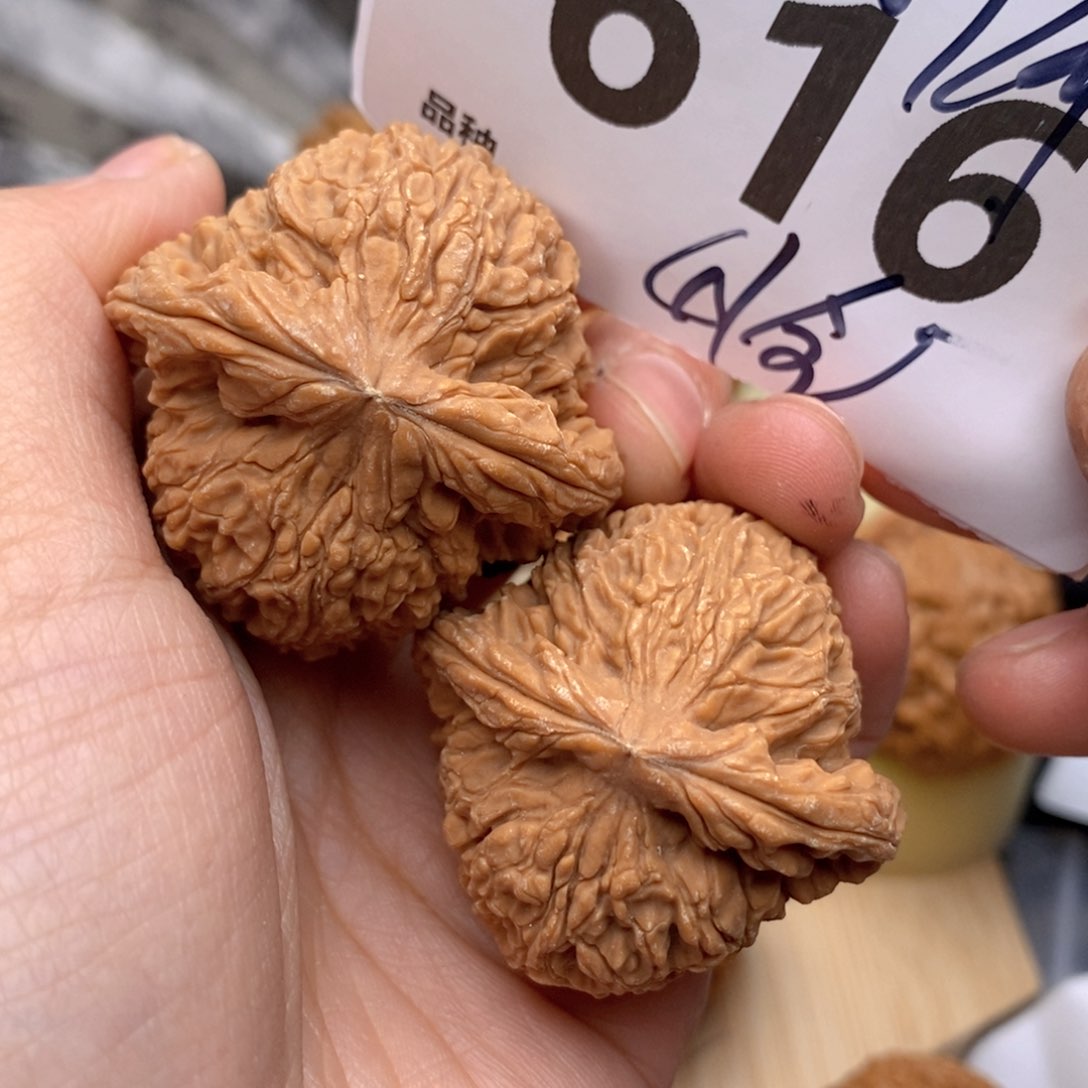 文玩核桃把件616号41全南