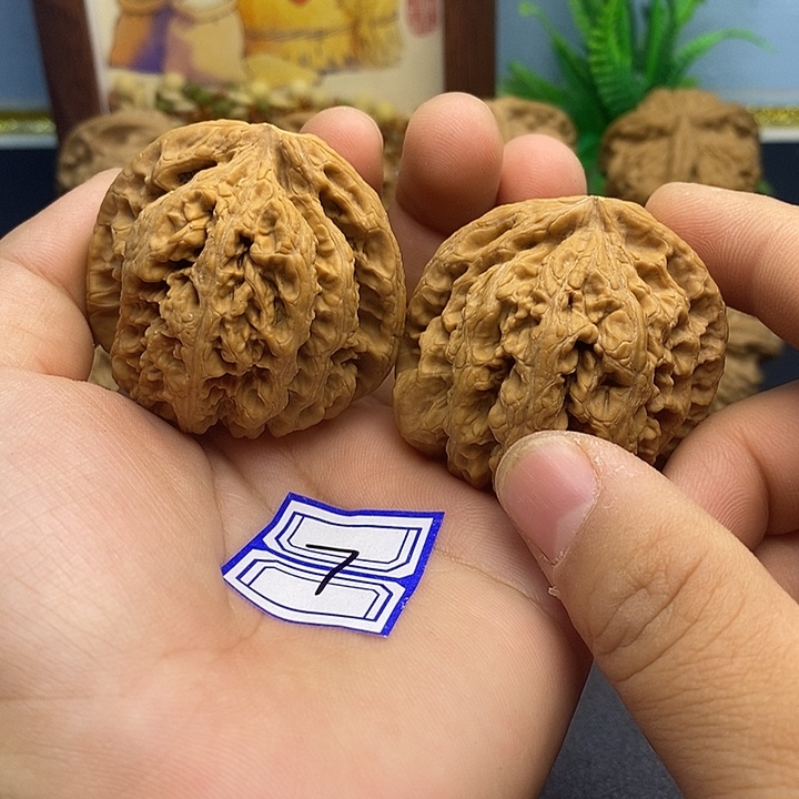 把件文玩核桃45粗筋（全品）