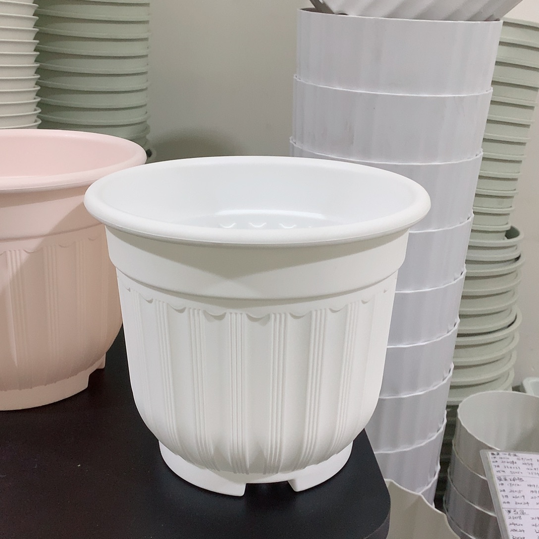 树脂罗马口21白4个无托