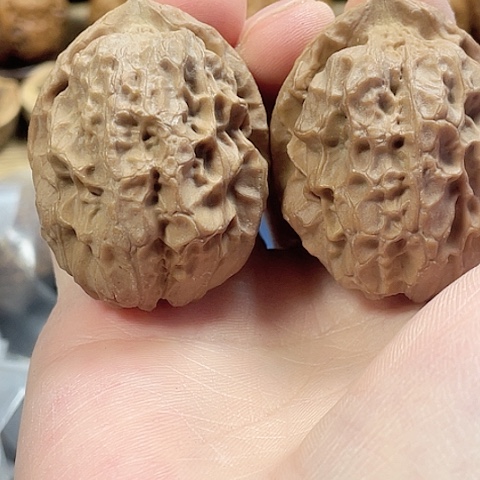 文玩核桃把件龙甲带彩磕尖42